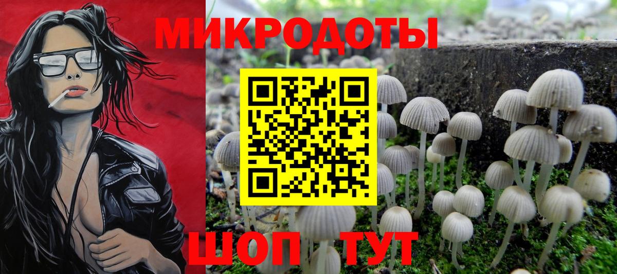 Ипатово  Псилоцибиновые грибы Cubensis  купить закладку  Вход с VPN 
